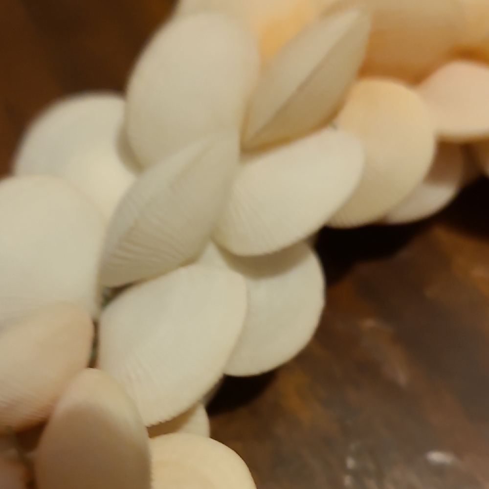 Rare Vintage Elegant Cream Shell Necklace - Picture 8 of 16